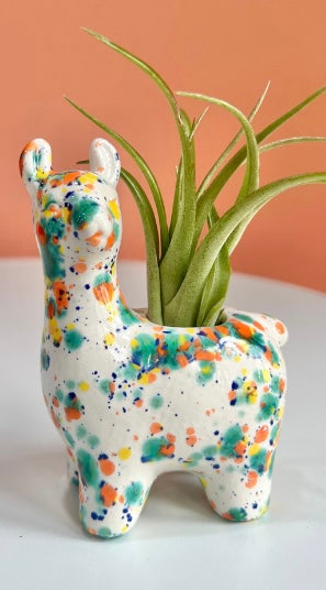 Llama Air Plant Friend + Airplant