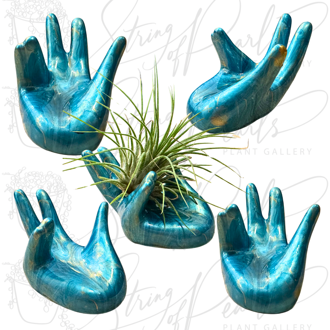 Vibrant Ceramic Hand Air Plant Holder