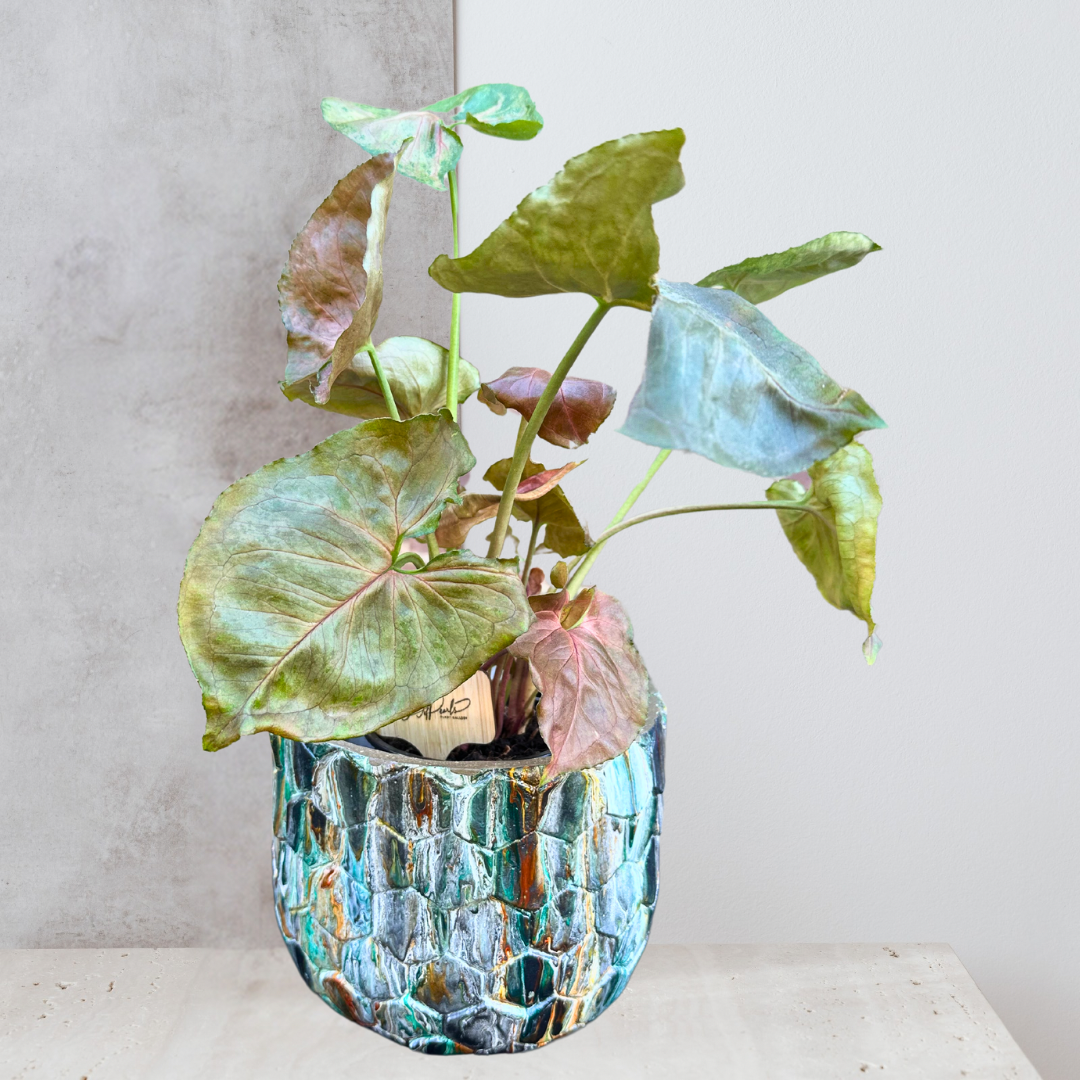 Handcrafted 8-inch Stone Plant Pot