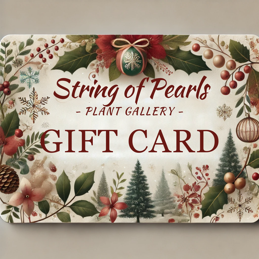 Holiday Gift Card