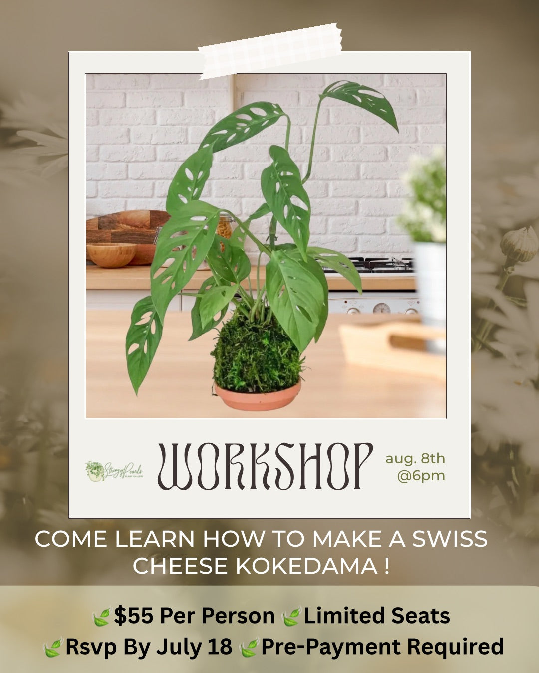 In Person Swiss Cheese Kokedama Workshop 8/8
