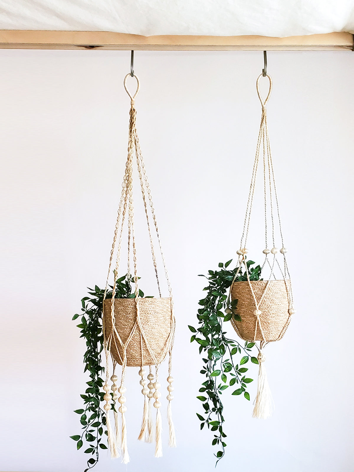 Plant Hanger - Fiora-2