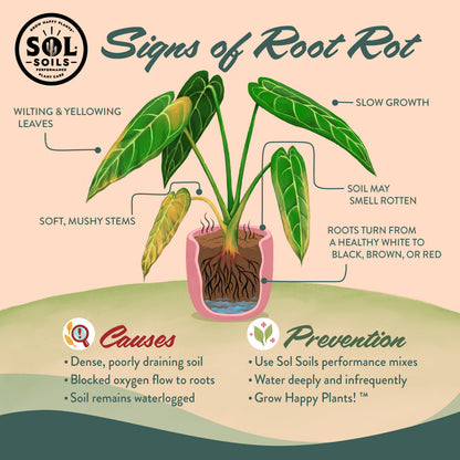 Cactus Gritty Mix