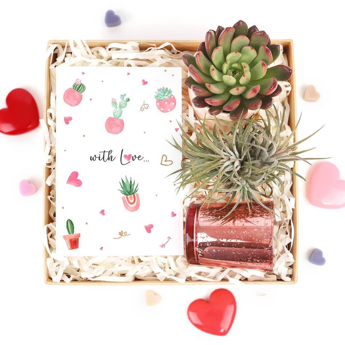 Valentine Gift Box - Succulent And Airplant