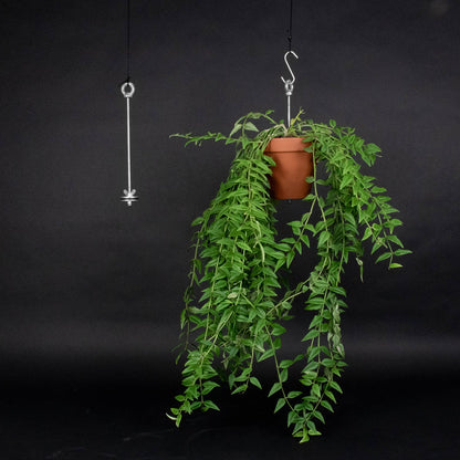 Bolty – Hanging planter system for plant pots