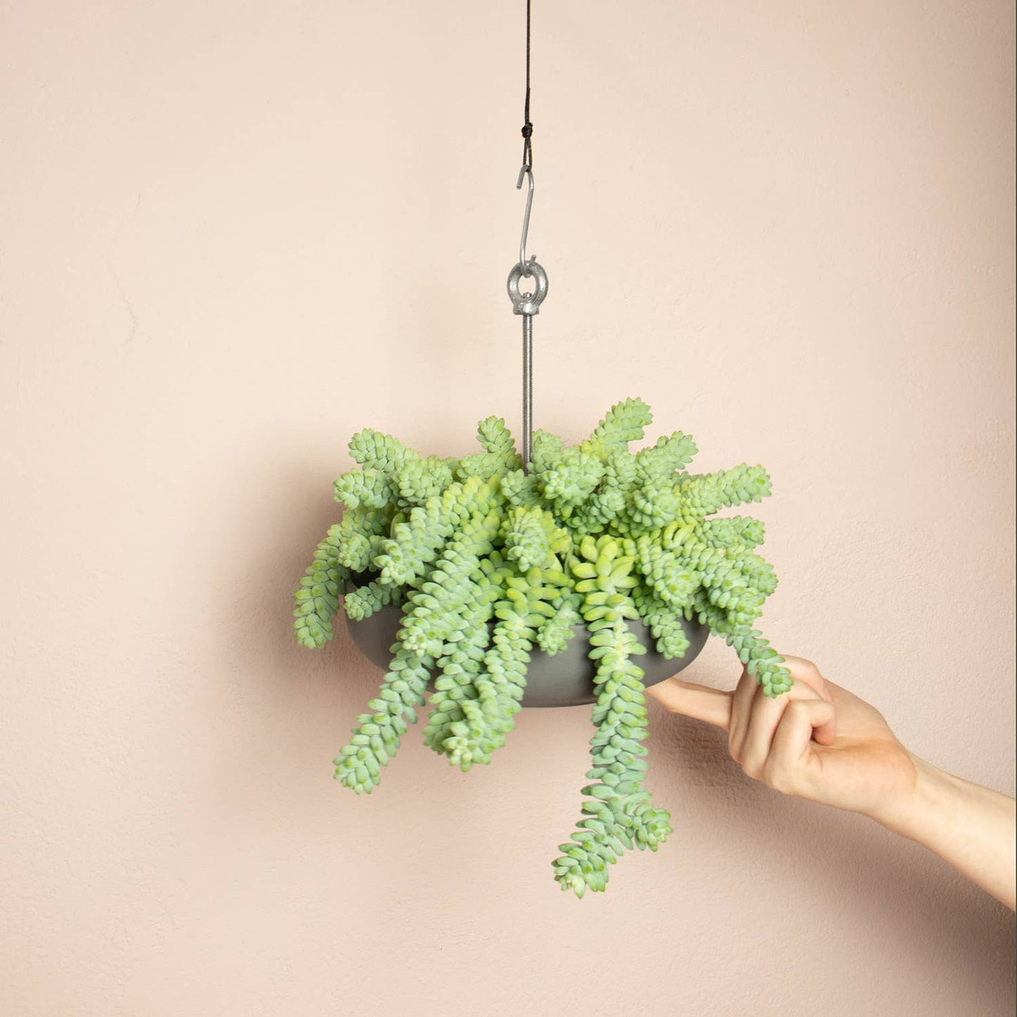 Bolty – Hanging planter system for plant pots