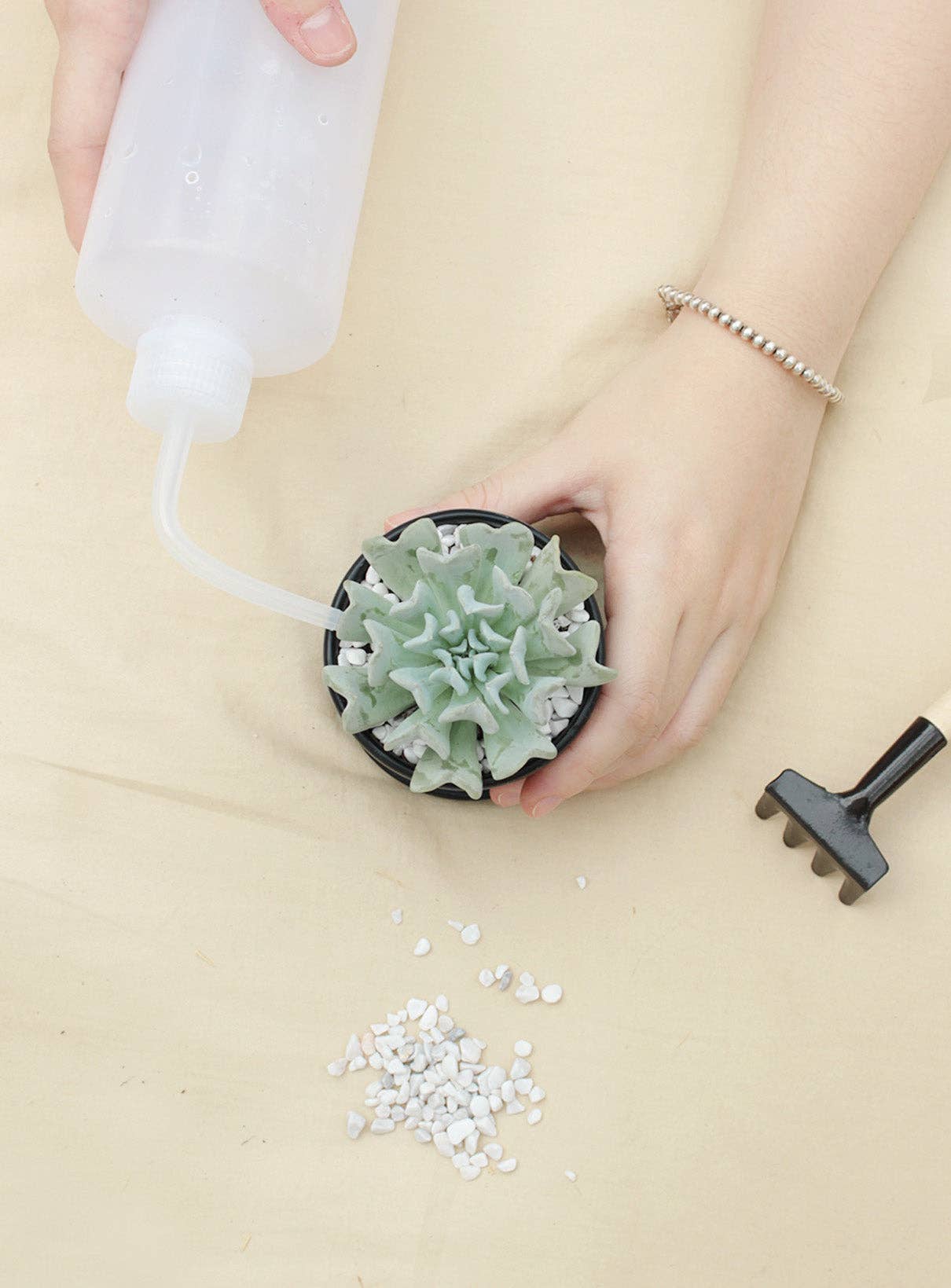 500ml Plastic Squeeze Watering Bottle for Succulent & Cactus