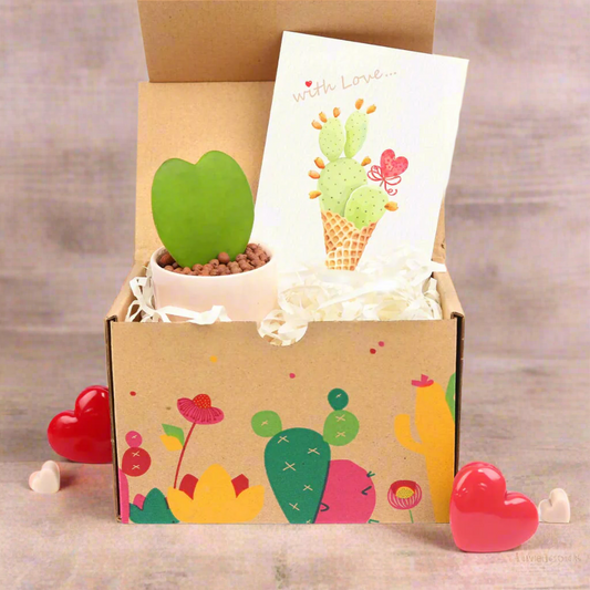 Valentine Gift Box - 1 Hoya Kerrii Heart