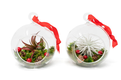 Festive Forest Ornaments with Red Abdita and White Tectorum