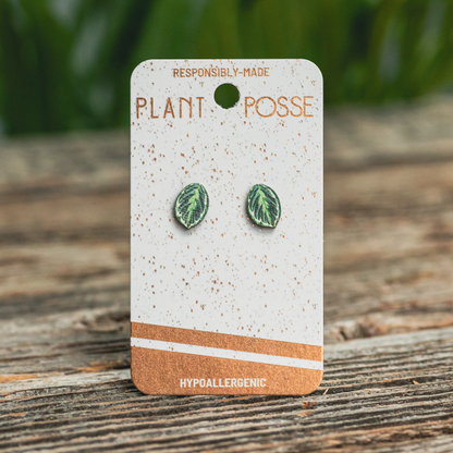 Medallion Prayer Plant Stud Earrings