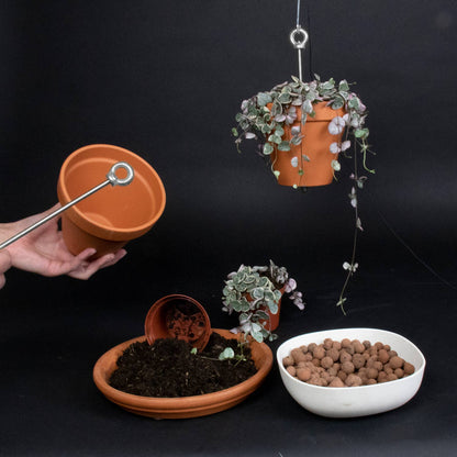 Bolty – Hanging planter system for plant pots