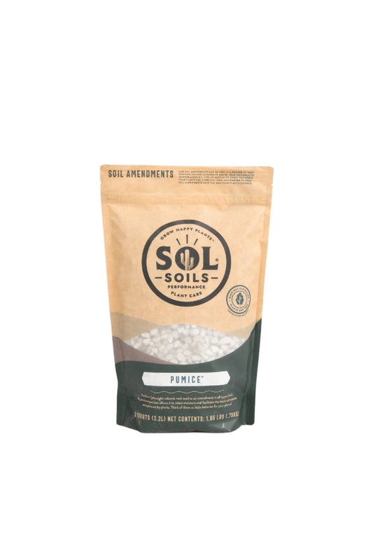 Pumice